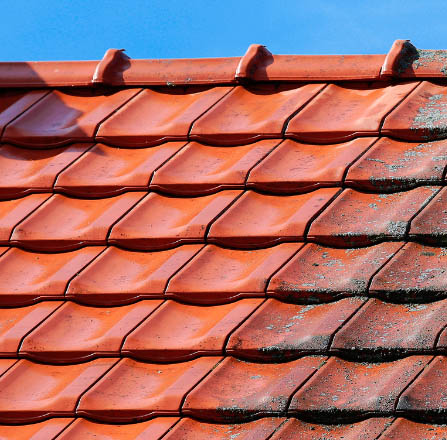 clean lichen free roof tiles vs mossy tiles